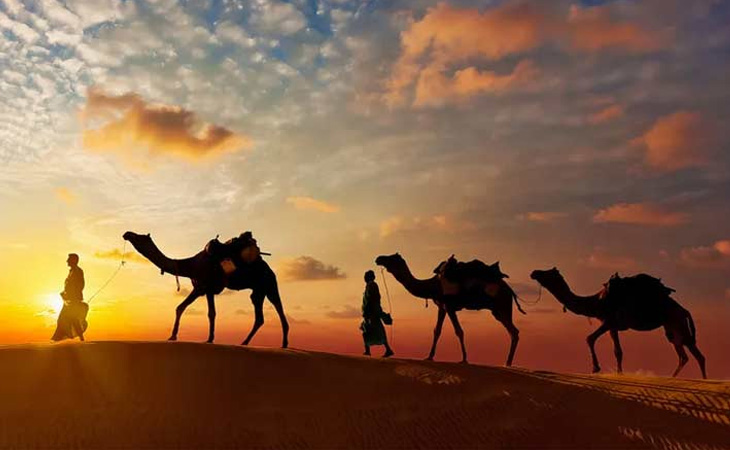 Rajasthan Camel Safari Tour