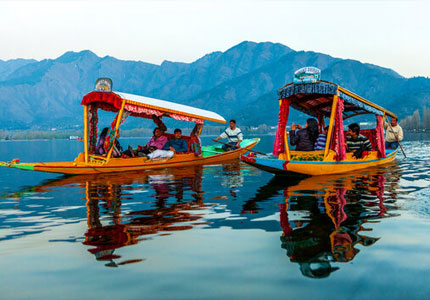 Srinagar Tour