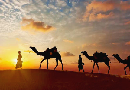 Rajasthan Camel Safari Tour